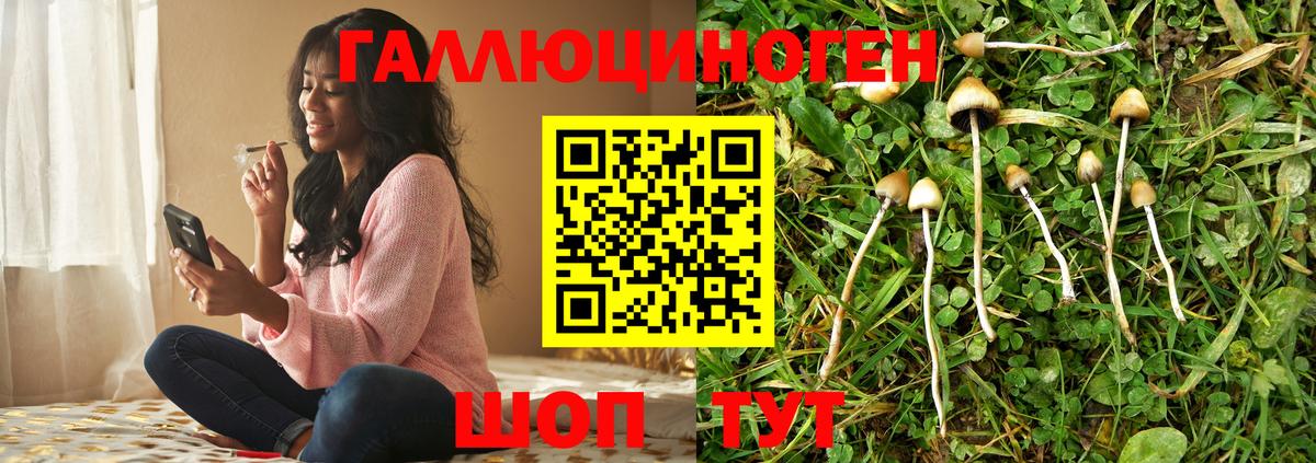 Галлюциногенные грибы Троицк