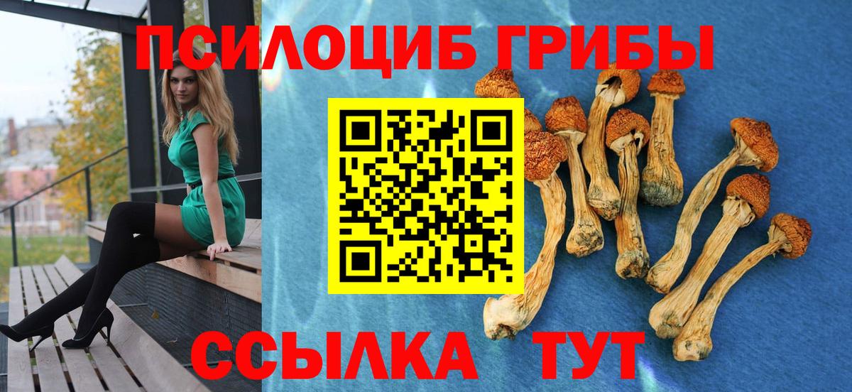 Псилоцибиновые грибы мицелий Троицк